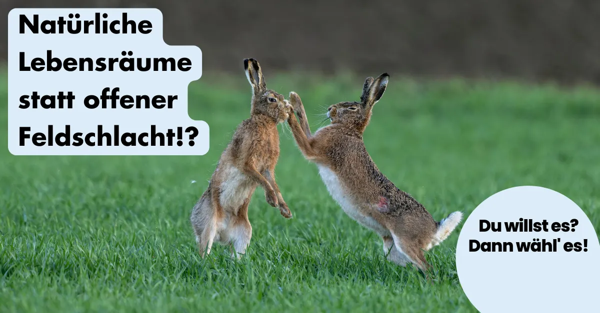 ohnelogo_linkedin_feldschlacht